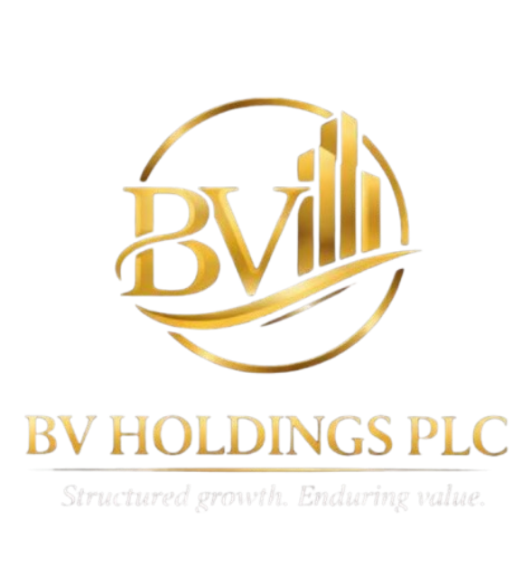 BV Holdings PLC emblem